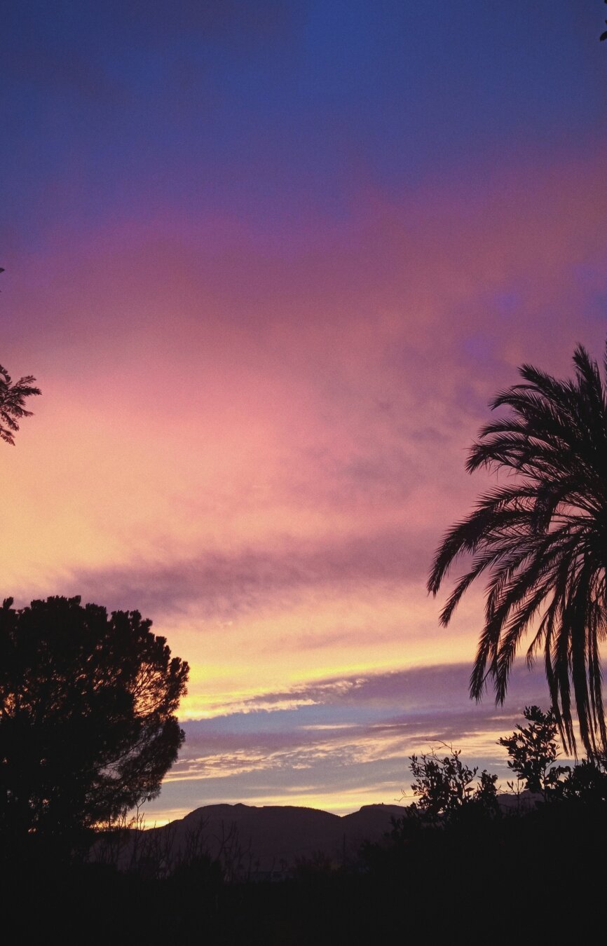 Una puesta de sol vibrante colorea el cielo con tonos rosados, púrpuras y naranjas. Siluetas de árboles, incluyendo una palmera a la derecha y arbustos y pinos a la izquierda, se destacan contra el cielo brillante. Al fondo, se aprecian unas montañas oscuras, Sierra Espuña. La escena evoca una sensación de tranquilidad y belleza natural.