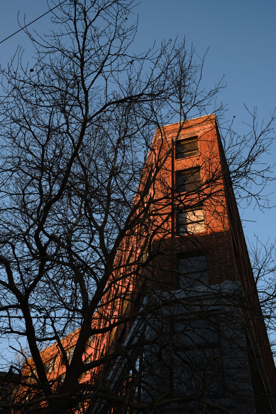 A tall building can be seen in front of a tree without leaves. The building is in shadow with part of it in dramatic orange light from the sun.