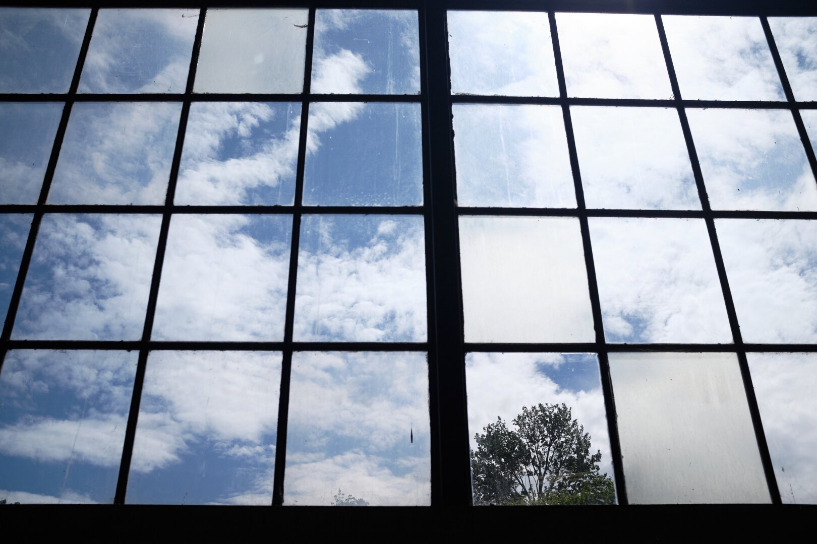 A window takes up the entire frame of the photo with a dramatic blue sky with clouds. A tree can be seen in one of the glass panes at the bottom of the photo.