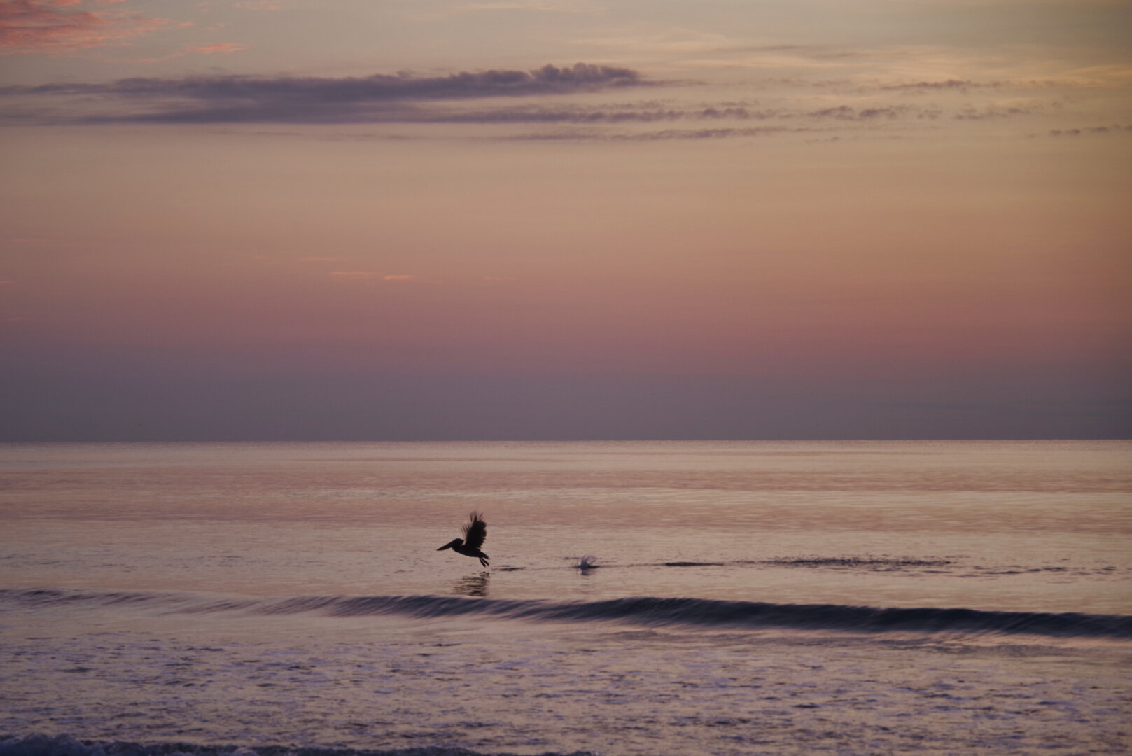 A pelican glides low over calm ocean water at sunrise, wings outstretched as soft pink, purple, and orange light reflects across gentle waves. A small splash near the bird suggests recent movement, and the sky glows with warm, pastel colors above the tranquil sea.