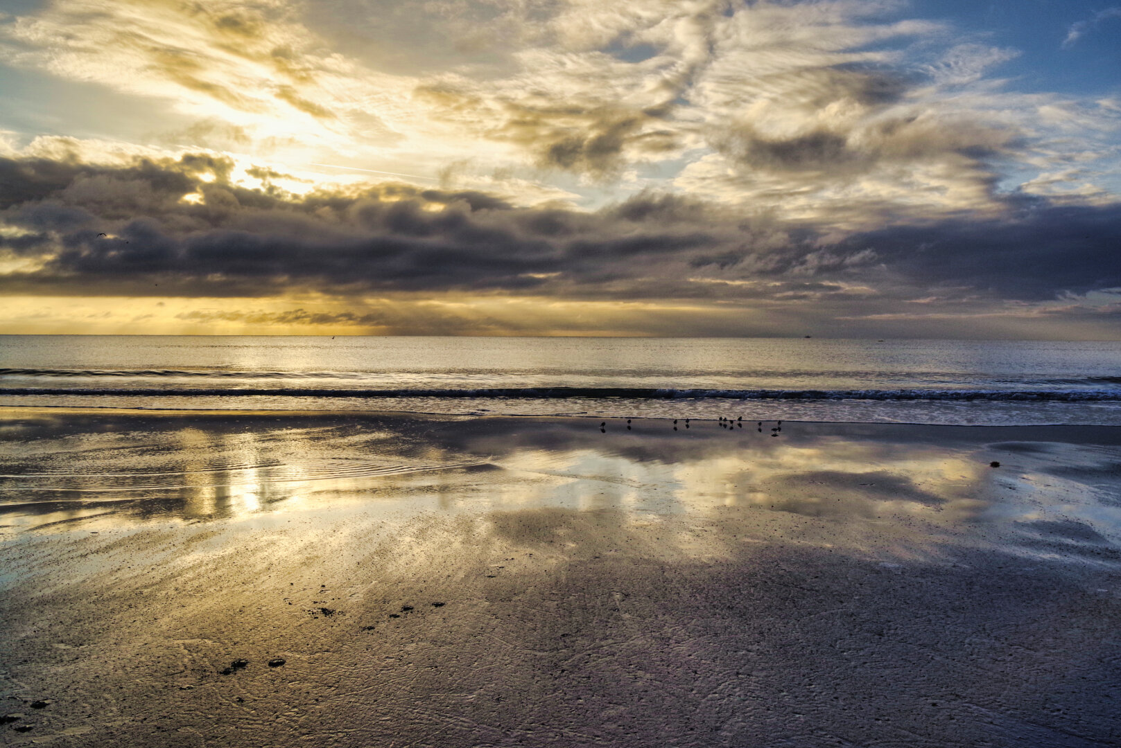 A tranquil beach at sunrise, with golden light illuminating dramatic clouds and reflecting across wet sand. Gentle waves roll toward the shore while a small group of birds gathers near the water’s edge, creating a peaceful, atmospheric scene.
