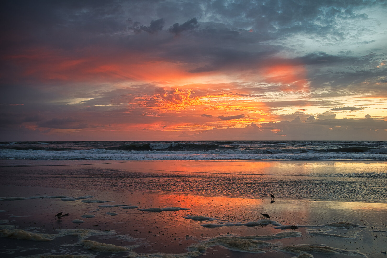 A sunrise casts warm oranges, reds, and golds across a cloud‑filled sky as gentle waves roll toward the shore. The wet sand reflects the early light like a mirror, with scattered sea foam and a few small shorebirds standing near the water’s edge.