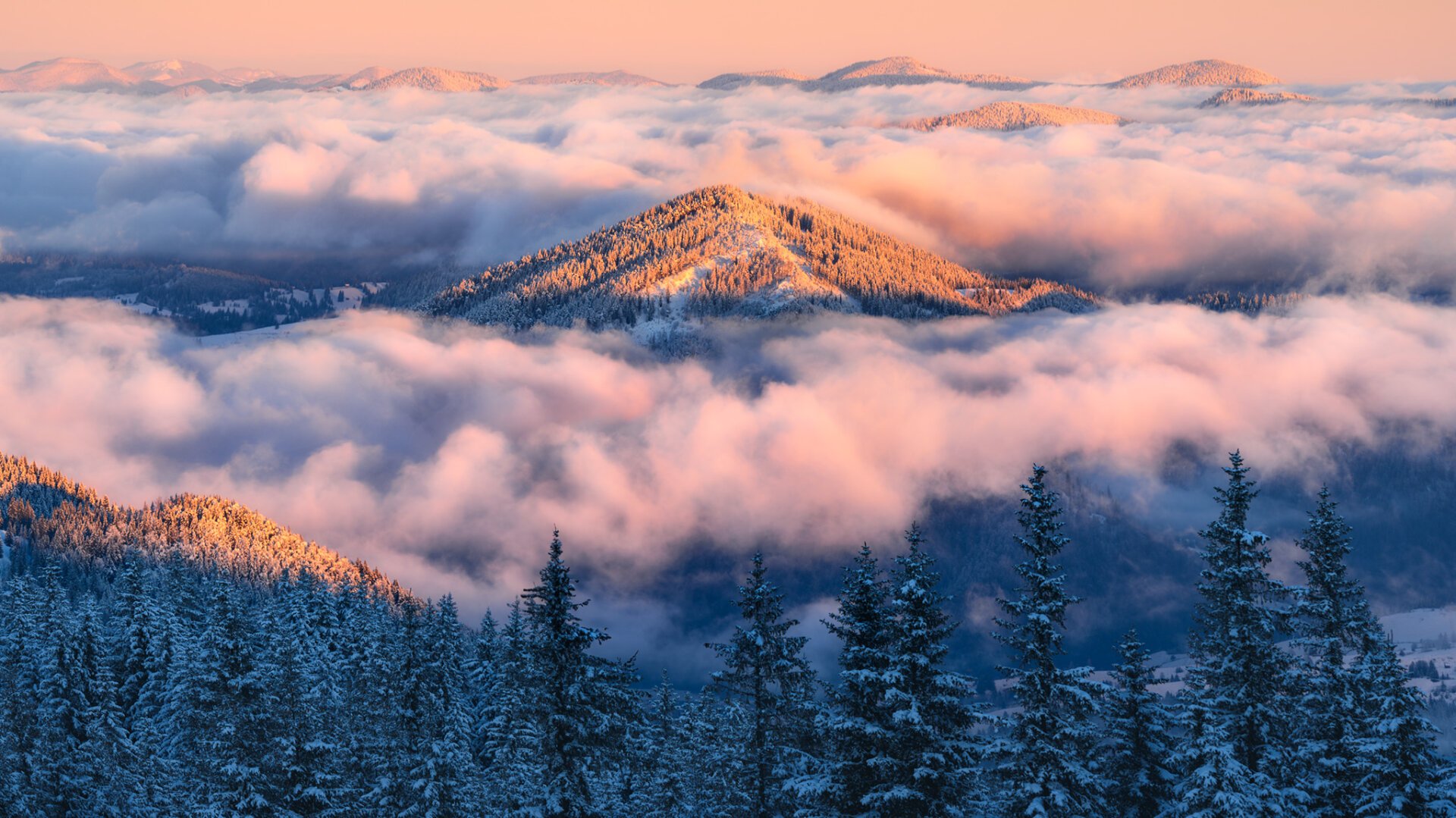 View from a top of a mountain of a small peak surrounded by fog in warm morning light
#LandscapePhotography #Nikon #Landscape #Photography #Snow #Mountain