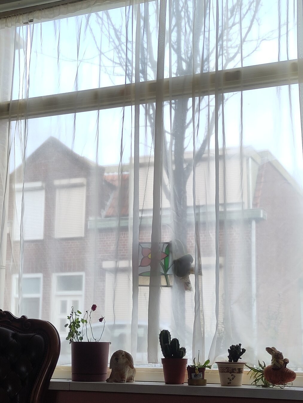 View from a window of a cloudy day, in the window's sill various plants and bunny figurines can be seen