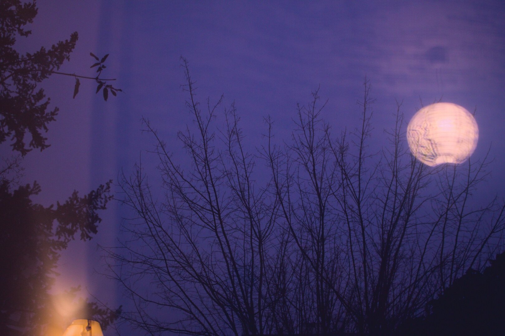 photograph of reflects on a window