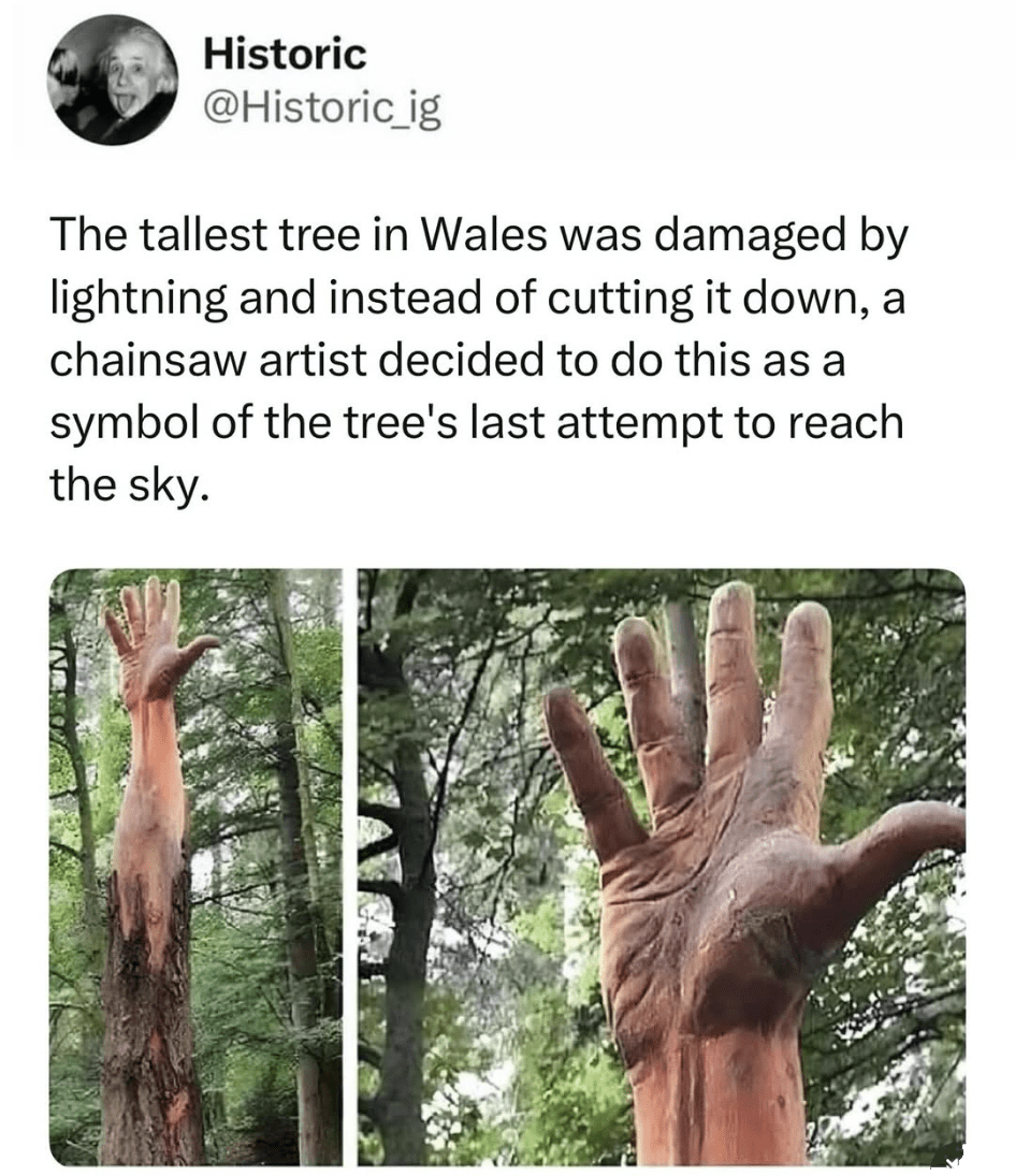 The tallest tree in Wales was damaged by lightning and instead of cutting it down, a chainsaw artist decided to do this as a symbol of the tree's last attempt to reach the sky

[Photo of the piece of art: a hand seemingly growing from a tree]