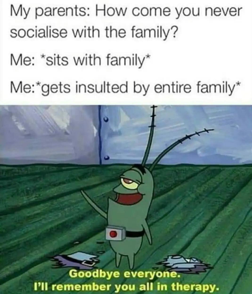 My parents: "How come you never socialise with the family?"
Me: Sits with family.
Me: Gets insulted by entire family.
Me: "Goodbye everyone, I'll remember you all in therapy!"