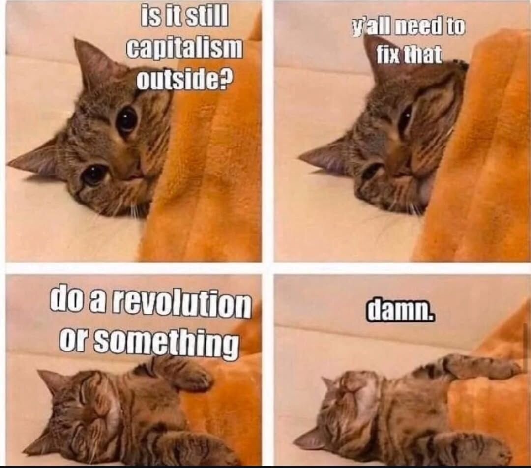 A cat saying "Is it still capitalism outside? Y'all need to fix that. Do a revolution or something. Damn."