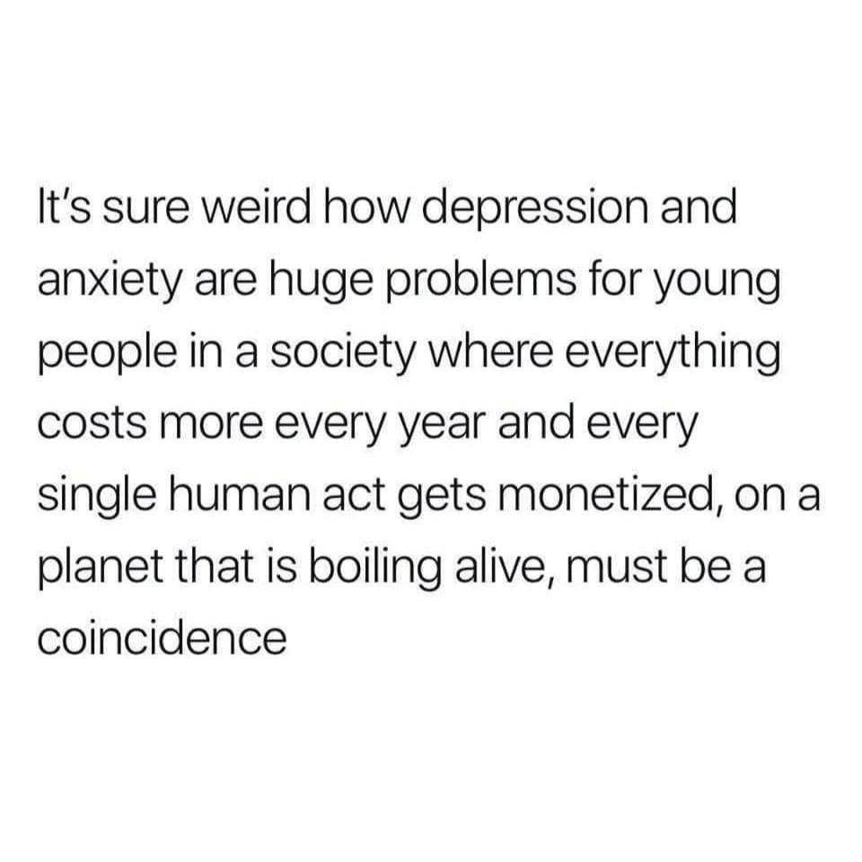 It's sure weird how depression and anxiety are huge problems for young people in a society where everything costs more every year and every single human act gets monetized on a planet that is boiling alive, must be a coincidence