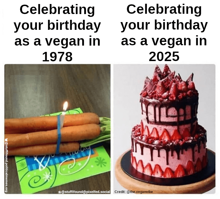 Celebrating your birthday as a vegan in 1978: carrots with a ribbon around it and a birthday candle. Celebrating your birthday as a vegan in 2025: Full-on vegan strawberry bavarois cake.