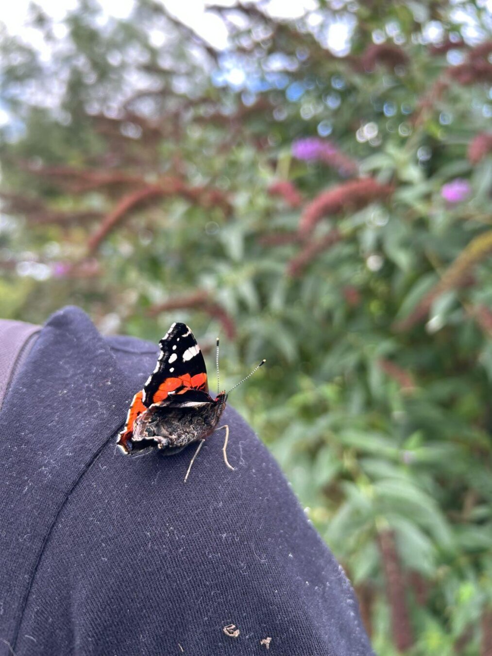 Drawing of two people in medieval women's clothes. The one is looking at the other, as if she's in a conversation. Caption: 'You're not doing witchcraft? In this economy?'