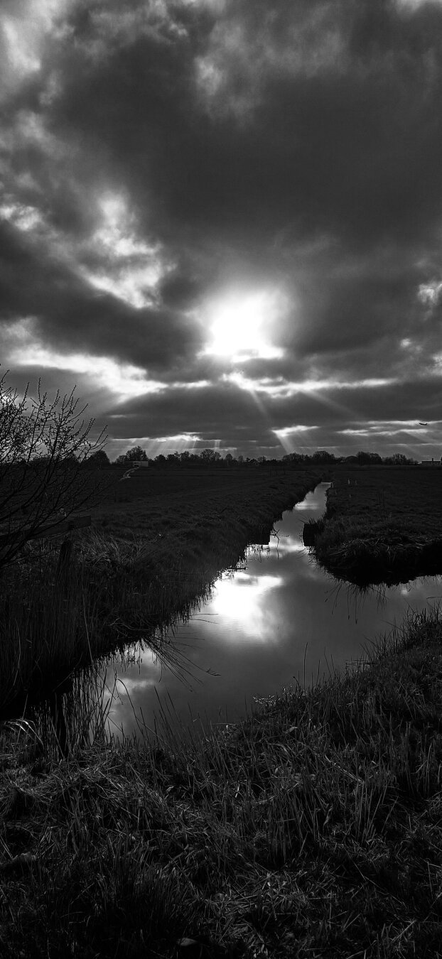 Sun partially behind clouds reflecting in the water between meadows, made more dramatic by applying high contrast black and white filter.