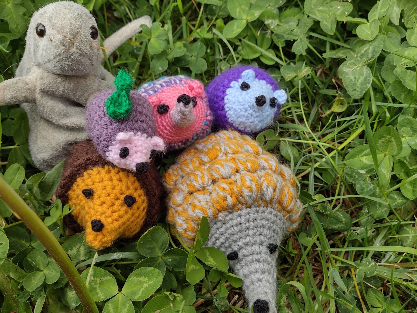 A selection for different coloured crochet hedgehogs sitting in clover. There is also a white rat Beanie Baby that has seen better days.