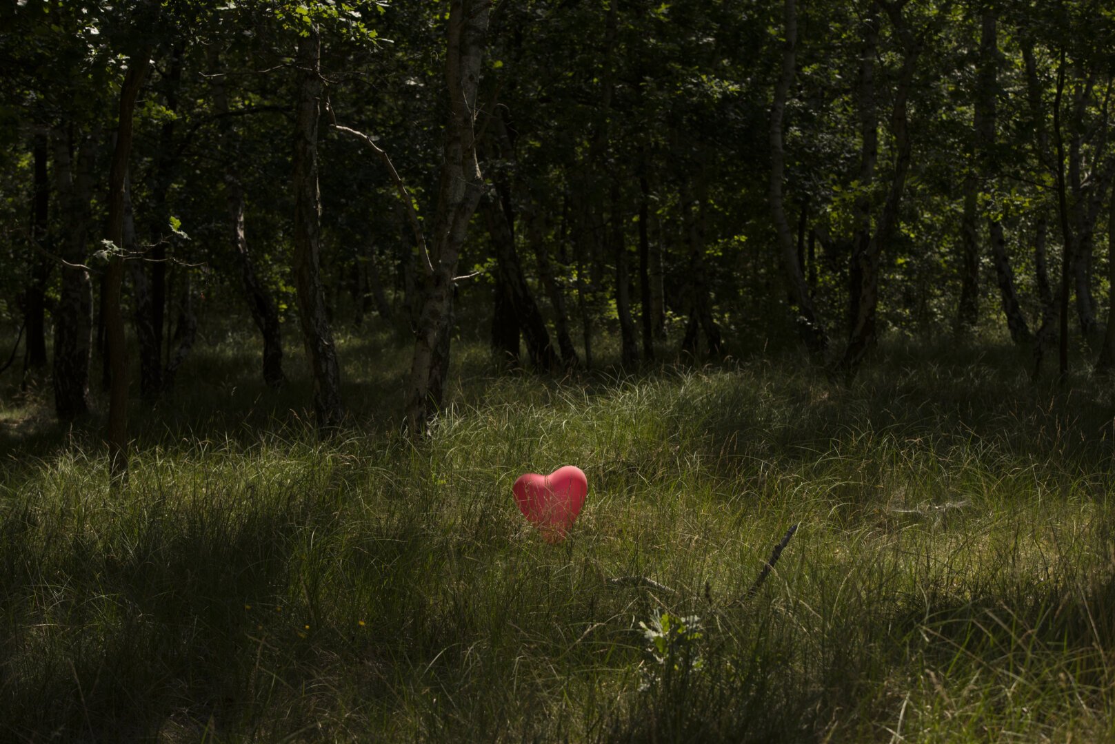 Auf einer Lichtung im Naturschutzgebiet Boberger Dünen, Hamburg, liegt ein roter, herzförmiger Luftballon.