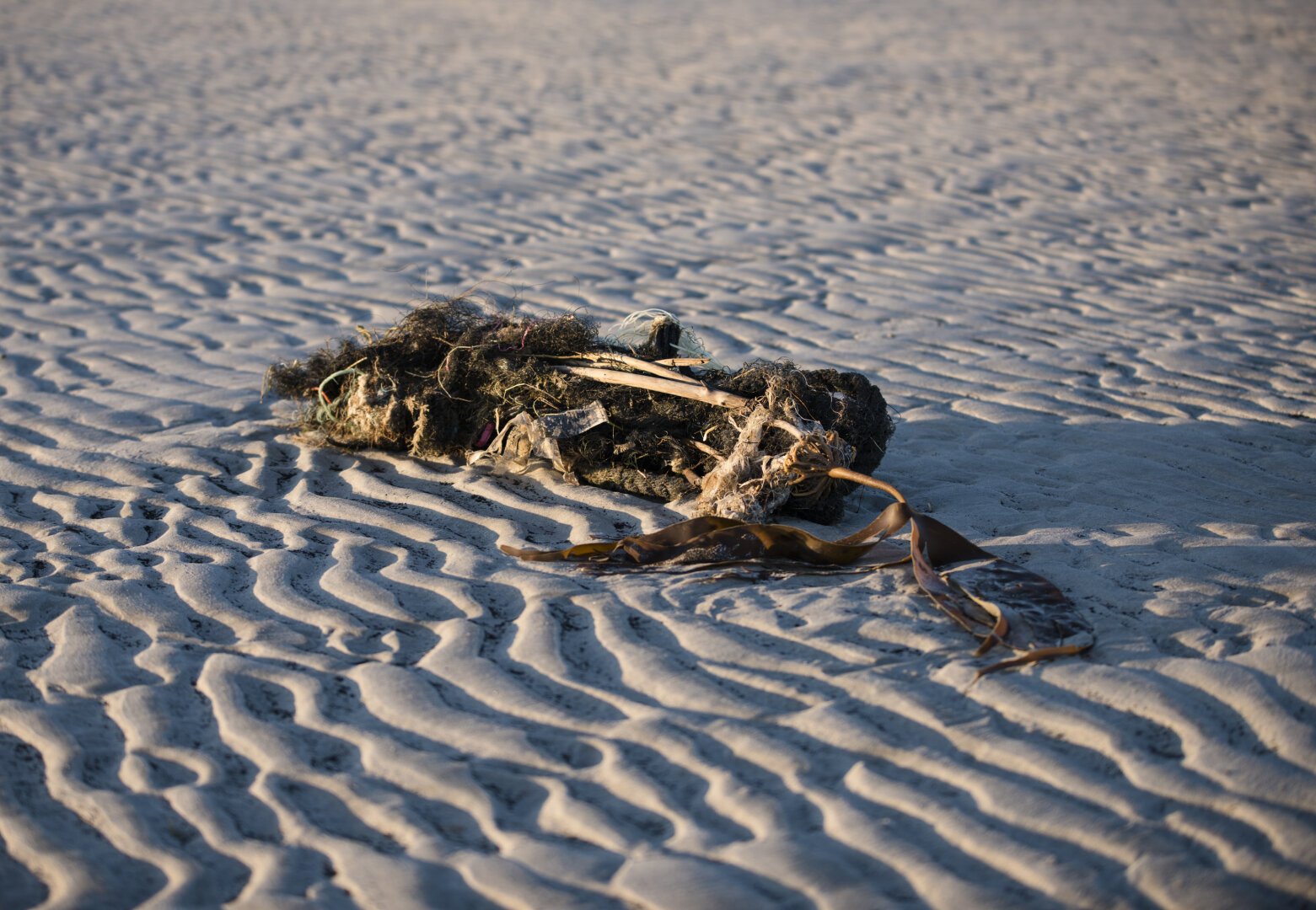 Alte Fischernetze, Schnüre, Seilstücke haben sich mit Pflanzenresten und Tieren verheddert. Aus dieser Perspektive sieht es aus, als wäre das Skelett einer Meerjungfrau an den Strand gespült worden.