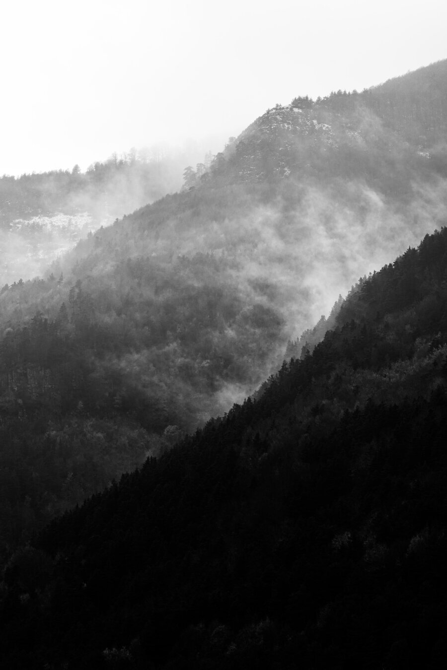 A black and white photograph captures a misty mountain landscape. Layers of tree-covered slopes recede into the distance, with fog weaving through the valleys, partially obscuring the rugged terrain. The contrast between dark, dense forests in the foreground and the lighter, mist-covered peaks in the background creates a sense of depth and atmosphere. The interplay of light and shadow adds a dramatic, almost ethereal quality, emphasizing the natural textures of the trees and rocky outcrops. The composition guides the eye along the curves of the mountain ridges, evoking a serene yet mysterious mood.