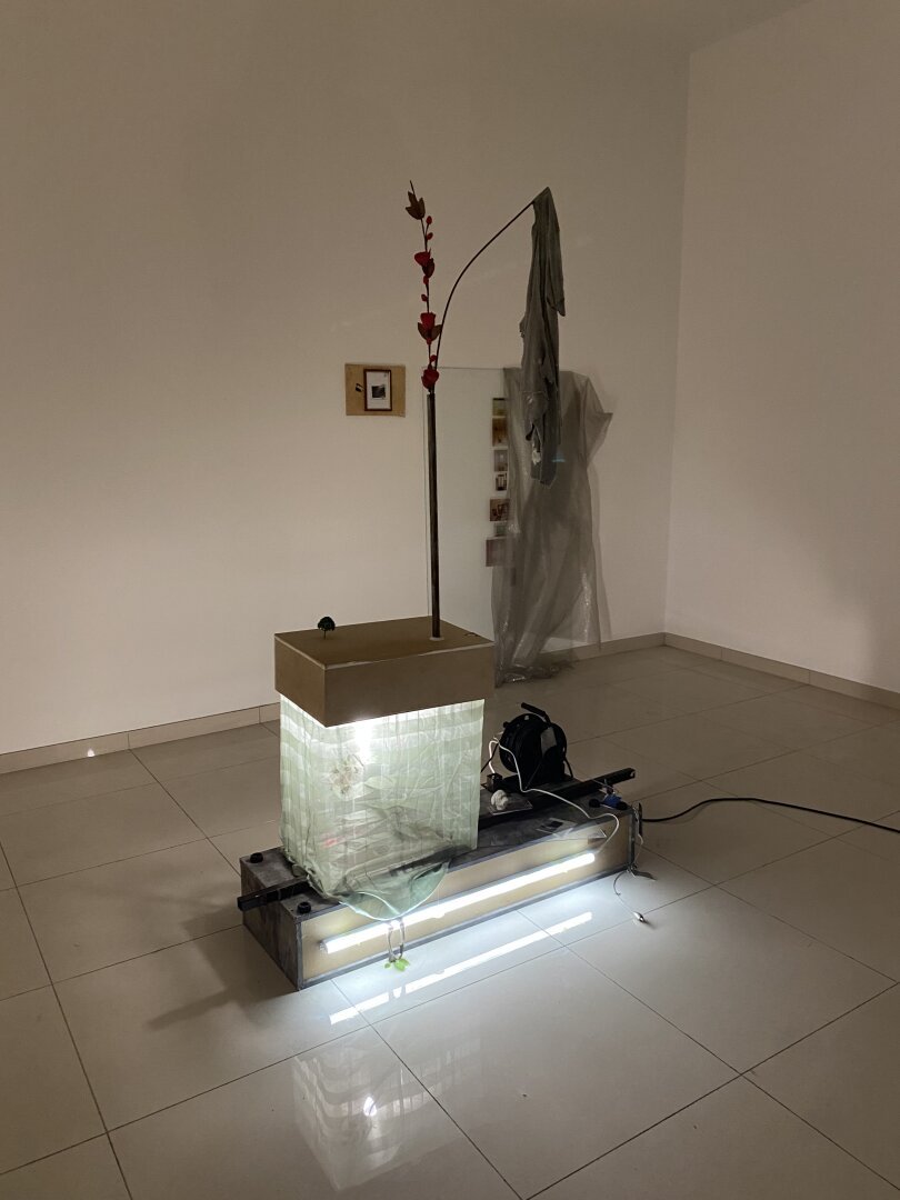 Artwork by Matthias Odin with found objects, materials, printed photos and lights. A plastic red flower and a hanging textile can be seen. A neon light sits as the main source of light