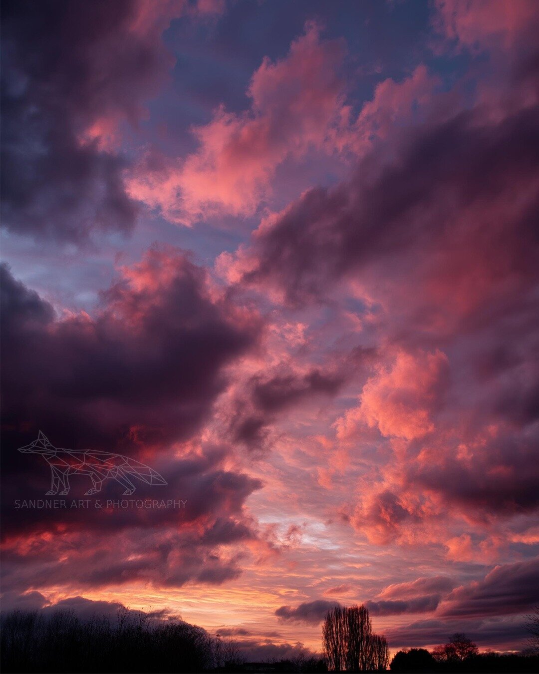 A dramatic winter sunset fills the sky with glowing shades of magenta, crimson, and violet as towering clouds catch the last light of the day. Dark silhouettes of leafless trees line the horizon beneath the vibrant cloudscape, creating a striking contrast against the warm afterglow. The image is presented exactly as captured, with no colour filters used.