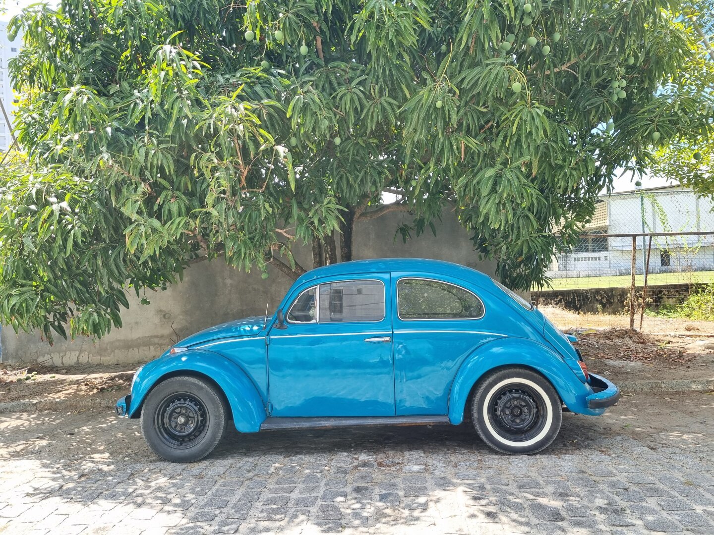 Fusca azul sob a sombra de uma árvore num dia de sol e calor intensos