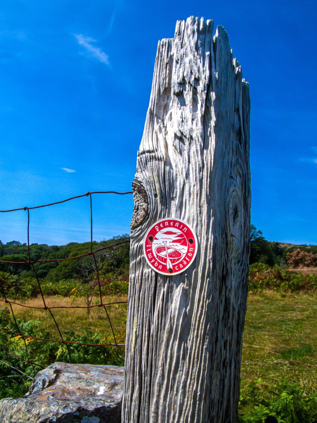 A heavily weathered wooden waymarker post with a small, red round trail emblem reading "Pererin" around the top and "Llwybr Cadfan" (Cadfan's Way) curving along the bottom with an image of a coracle (a traditional Welsh rounded boat) in the centre. A wire gate is attached to the left of the post and it sits against a traditional stone wall. In the background, a field with shrubs and trees in varying shades of green and orange sits under a bright blue sky with a couple of wispy clouds.