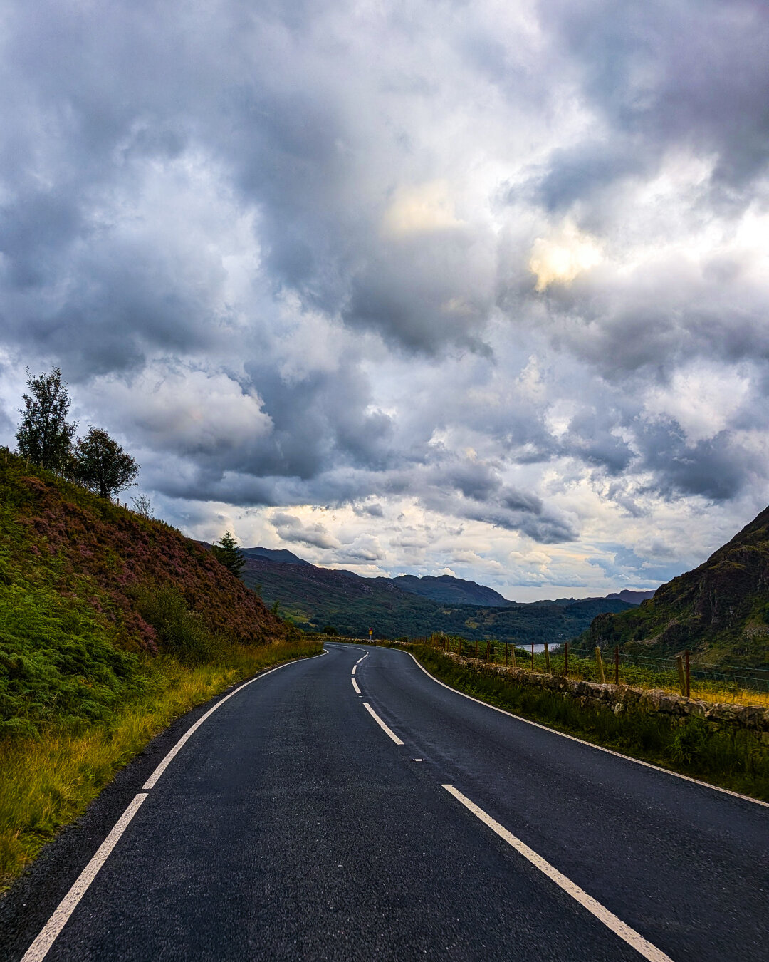 A two lane asphalt road with white dividing lines, winds through Eryri (Snowdonia). To the left, a slope covered in vibrant green ferns and purple heather meets the edge of the road. In the distance, mountains fade into a deep valley under a moody, cloudy sky.