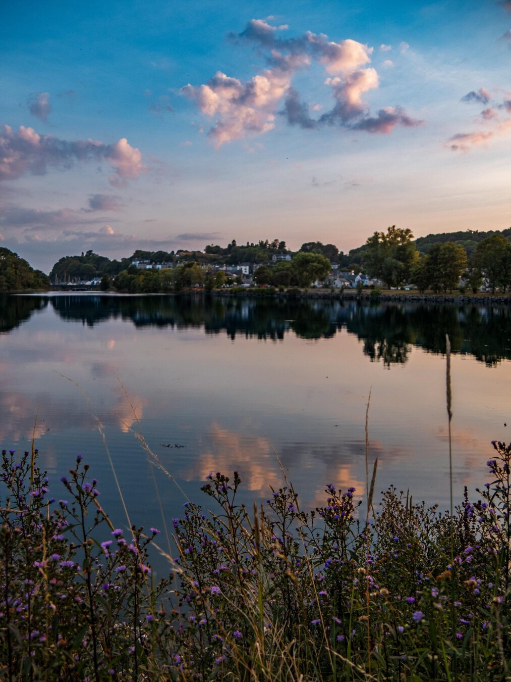 A low-angle shot of still lake at sunset. The surface perfectly reflects the blue sky filled with fluffy pastel pink clouds. In the foreground, tall wild grasses and purple wildflowers glow in golden light. Across the water, small white houses of a town sit behind leafy trees in a park.