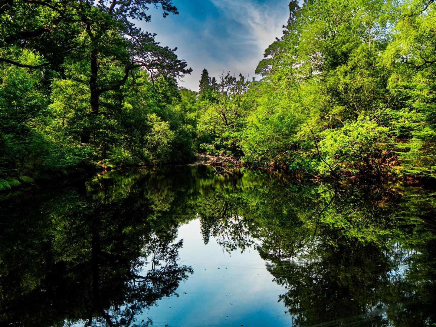 A serene lake surrounded by lush green woodlands. The calm water perfectly reflects the vivid blue sky above and trees around it.