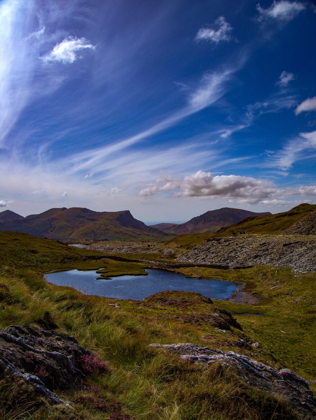 A high mountain lake nestled in a valley in Eryri. It is surrounded by reedy green grasses with patches of bright purple heather, ancient, lichen covered stones, and the stone remnants of an old slate quarry. In the distance, mountains rise into a bright blue sky filled with both long wispy clouds and lower fluffy white ones.