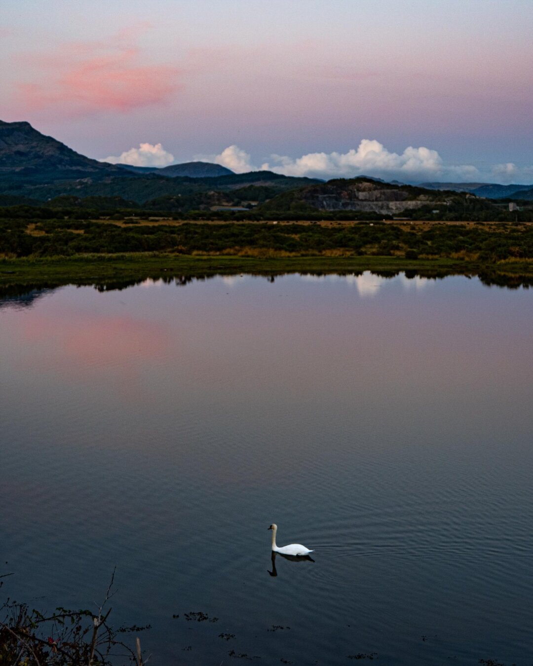 A solitary white swan glides across calm, glassy water at dusk. The surface perfectly reflects the soft pink and blue hues of the sunset sky. In the background, mountain ridges stand beneath low white clouds and a pastel twilight sky.