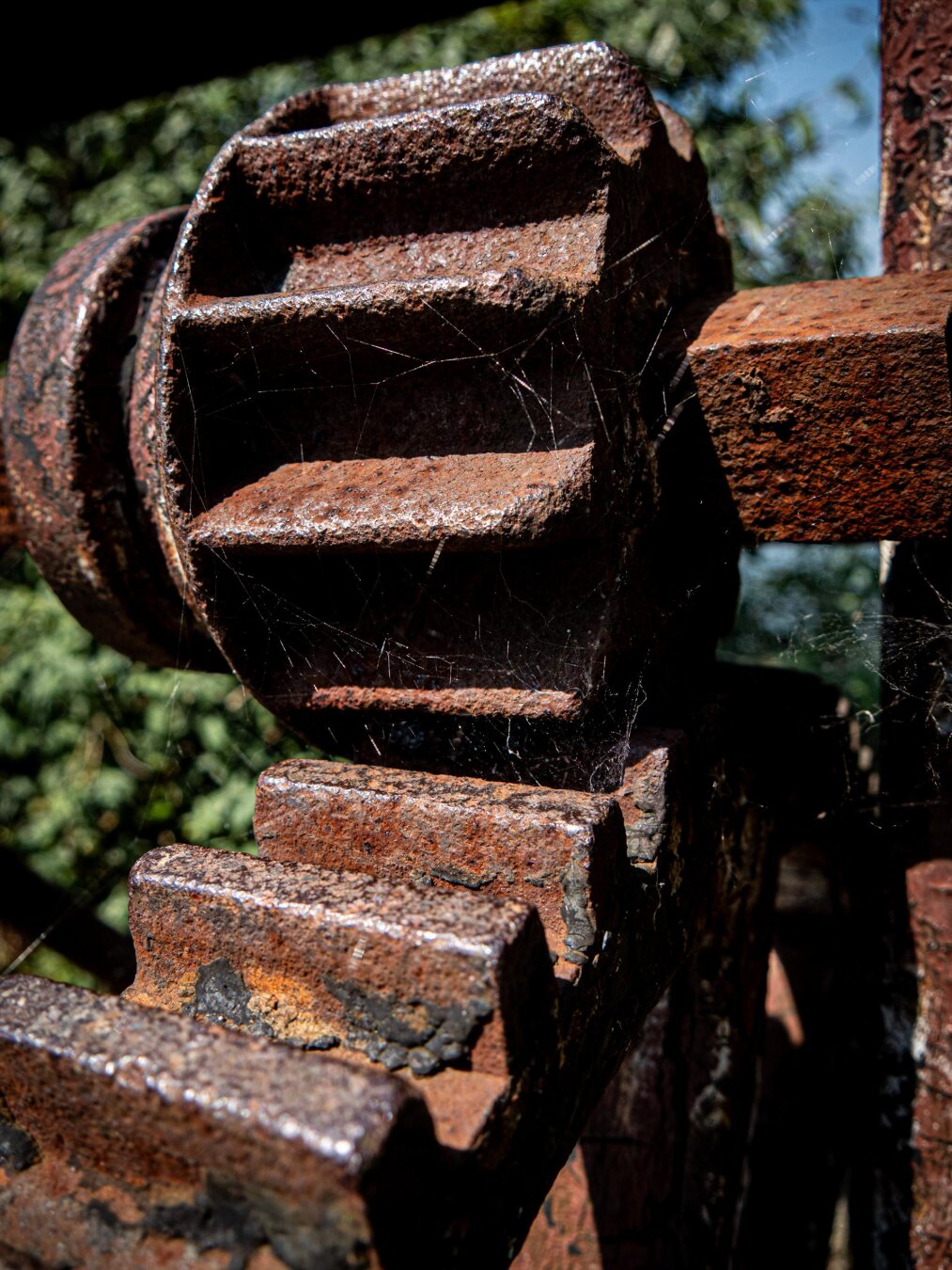 Vertical close-up of interlocking, old industrial gears. The metal surfaces are deeply textured with orange-brown rust, and delicate cobwebs span across the gear teeth. Green foliage blurs softly in the bright daylight background.