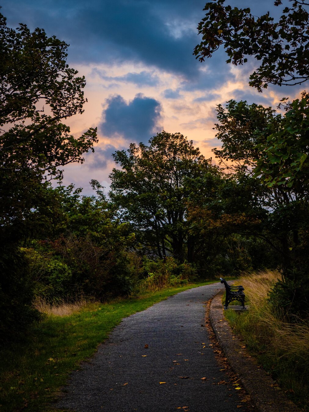 A paved footpath at sunset. Thick green trees and shrubs border both sides of the path, with a single ornate metal park bench facing away from the path on the right side. Above the trees, a golden hour sky glows with orange and peach hues, between moody purple clouds including a single cloud in the shape of a heart.
