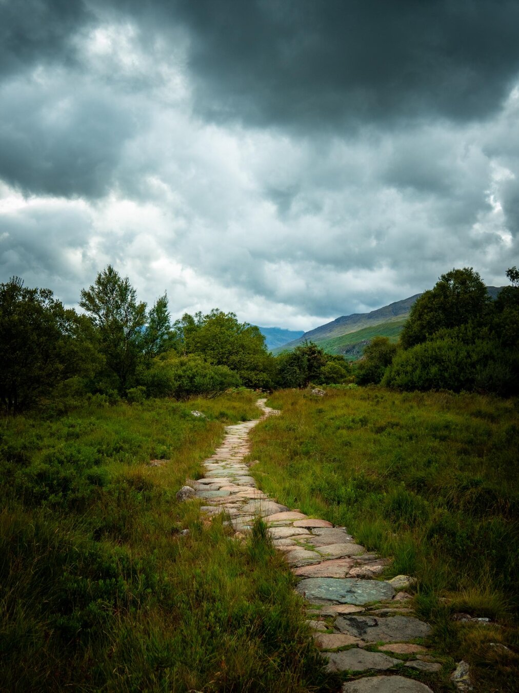 A rustic stone-flagged path winds through a lush green valley in Eryri (Snowdonia). The pathway is built from irregular, weathered flat stones and it cuts through tall grass and low shrubs. In the background, rolling green hills rise up toward a moody overcast sky with heavy grey and white clouds.