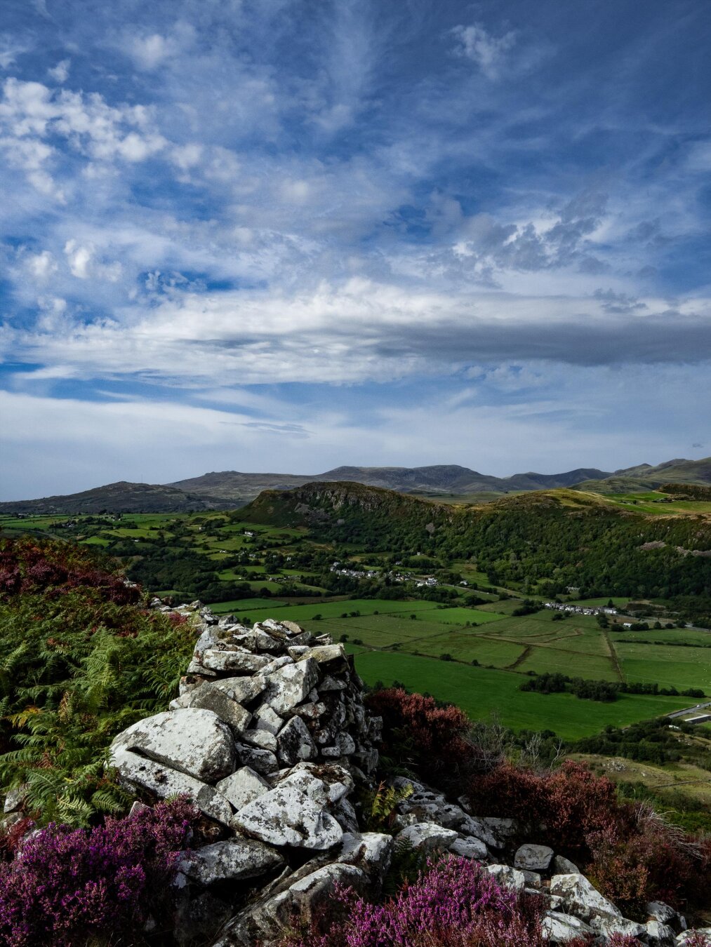 High-angle view of a vibrant landscape in North Wales. In the foreground, an ancient dry-stone wall with uneven white-and-grey stones is surrounded by purple heather and green ferns. Beyond the ridge is a wide valley with a patchwork of bright green pastures and small clusters of white houses. In the distance, rolling hills stretch across the horizon under a blue sky filled with wispy white clouds.