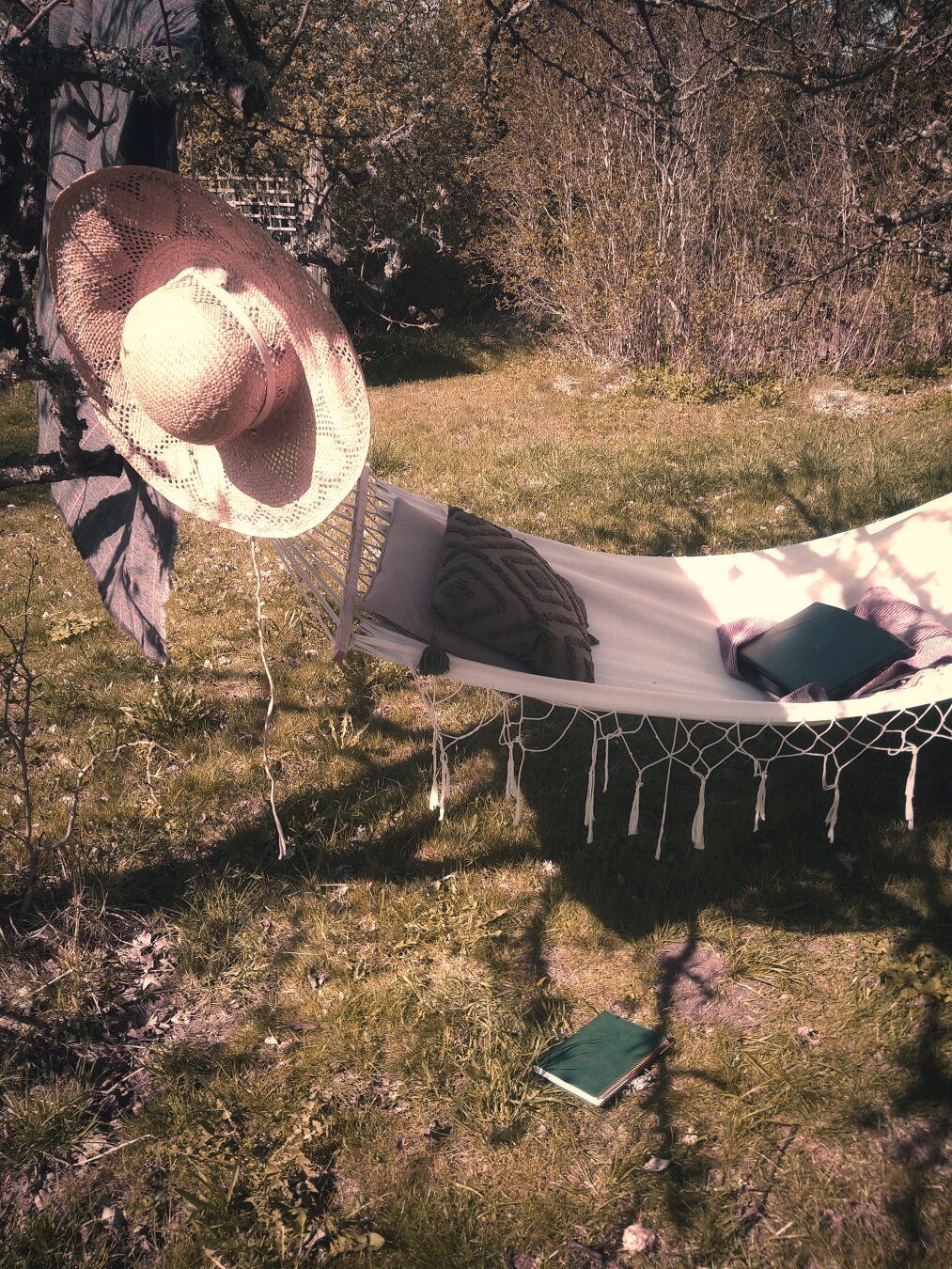 Photo of a hammock in the sun