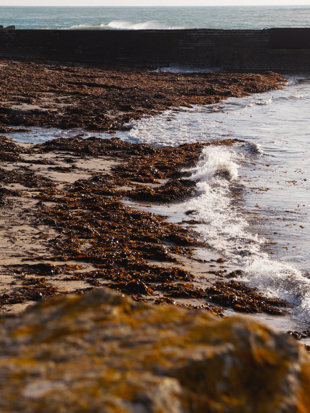 Plage du Loc'h, Cap Sizun, Finistère, Bretagne, France