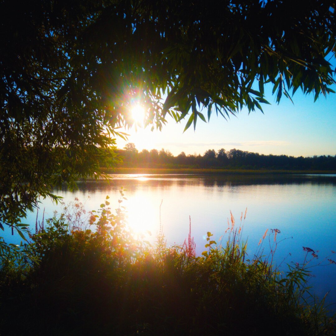 Finnish lake scenery with the sun shining through trees