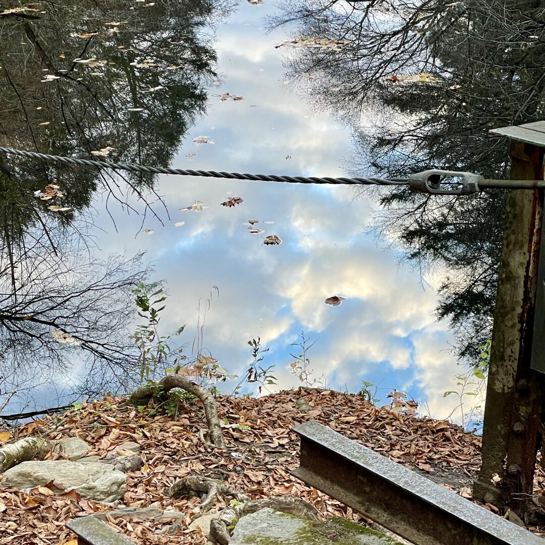 Sorry, no caption provided by author