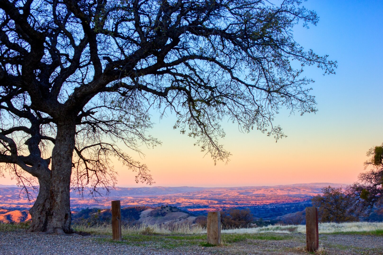 A bare oak tree on a mountaintop at dawn. The sun illuminates the valley floor, and the sky shifts from blue thru yellow thru pink.