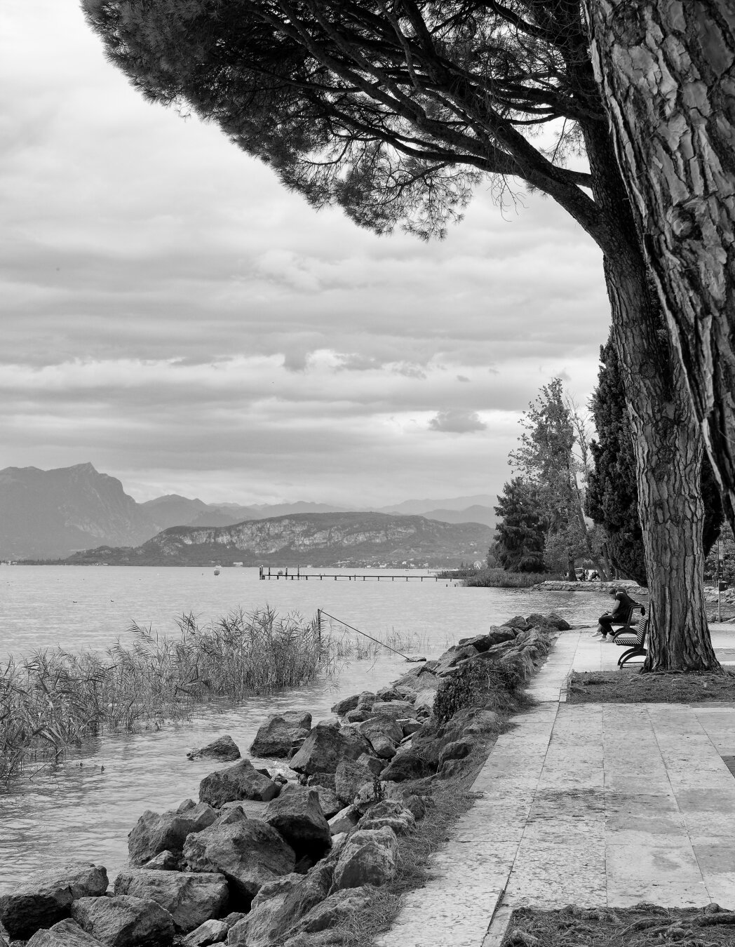 The image portrays a tranquil scene at Lake Garda, Italy, in striking black and white tones. The foreground features a large, textured tree trunk, its branches extending gracefully to frame the view. A paved pathway runs alongside the shoreline, where a person sits alone on a bench, gazing out over the calm waters. Rocks and reeds line the edge of the lake, blending seamlessly into the natural environment. In the background, the serene waters of Lake Garda stretch out towards distant mountains, partially shrouded by low, dramatic clouds. The atmosphere is peaceful and contemplative, evoking a sense of solitude and connection with nature.