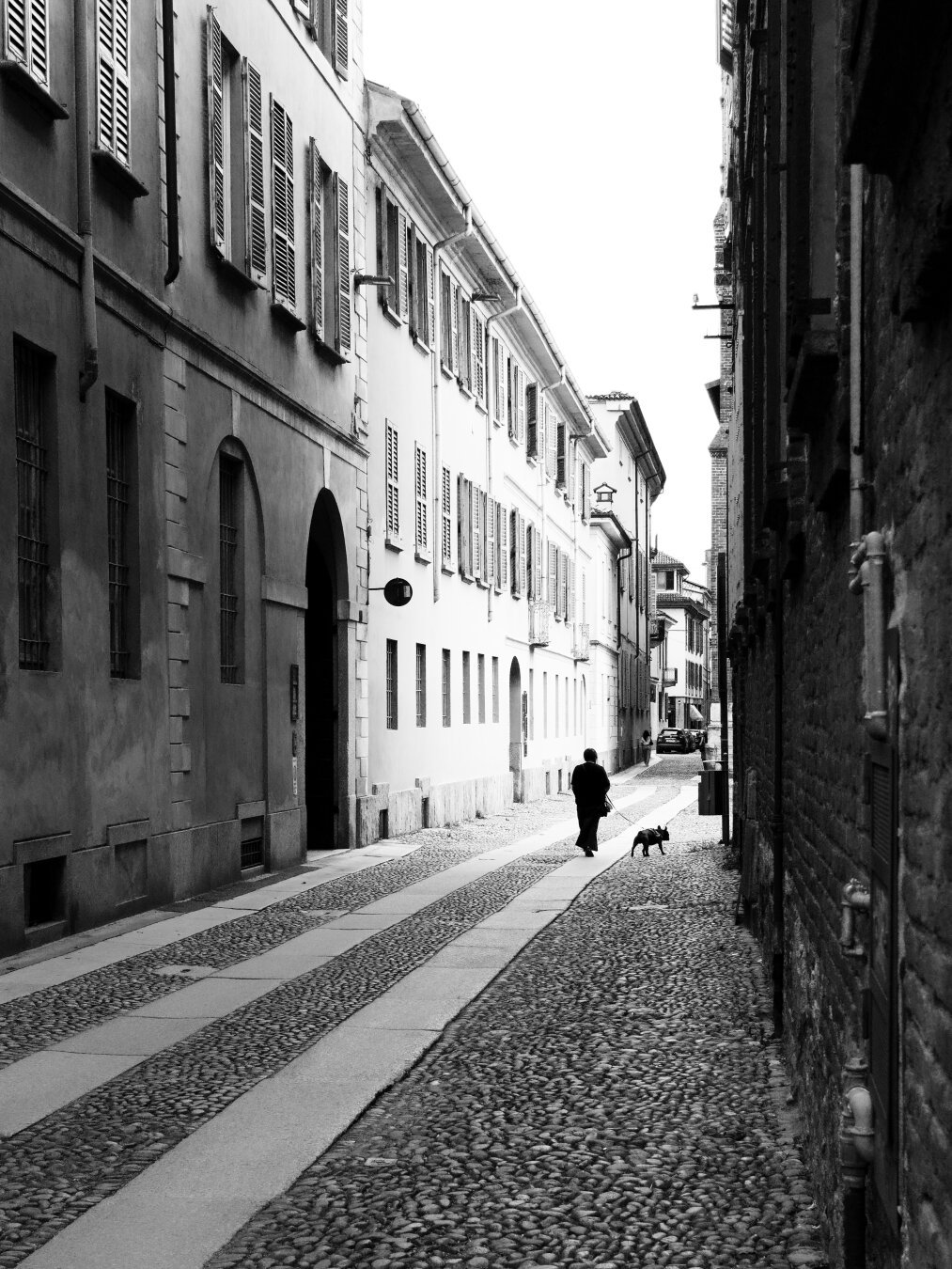 The image depicts a serene scene in the historic old town of Pavia, Italy. A narrow cobblestone street is bordered by elegant, tall buildings with traditional shuttered windows, reflecting the timeless charm of this ancient city. Captured in black and white, the photograph accentuates the textures of the cobblestones and the weathered facades of the buildings. In the distance, a solitary figure walks a dog, adding a quiet, human element to the peaceful ambiance. The perspective draws the viewer’s eye along the street, evoking a sense of calm and nostalgia in this beautifully preserved part of Pavia.