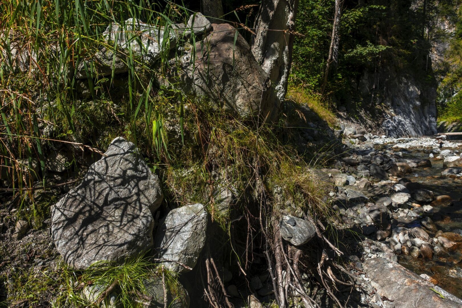 Aus meiner Arbeit "The Bridge", 2024