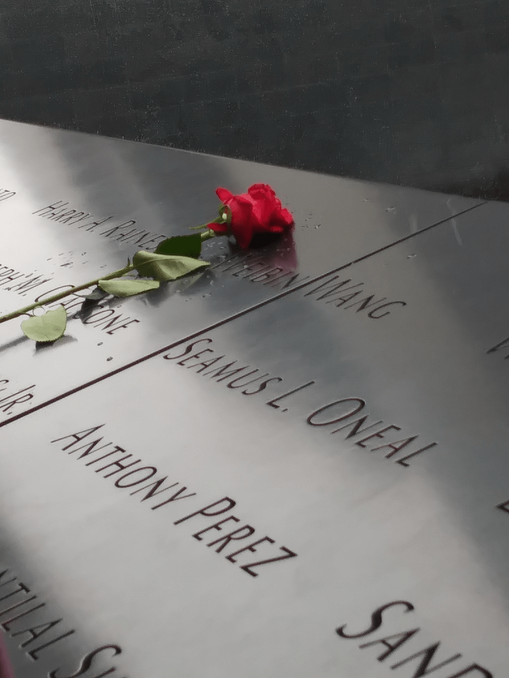 A red rose lying on the bronze parapet of inscribed names with water droplets from the memorial pool