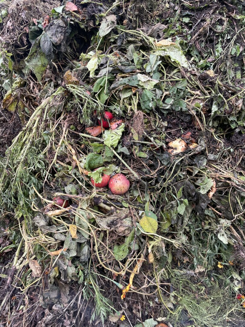 Natura hysterica 
En komposthög för länge sedan.