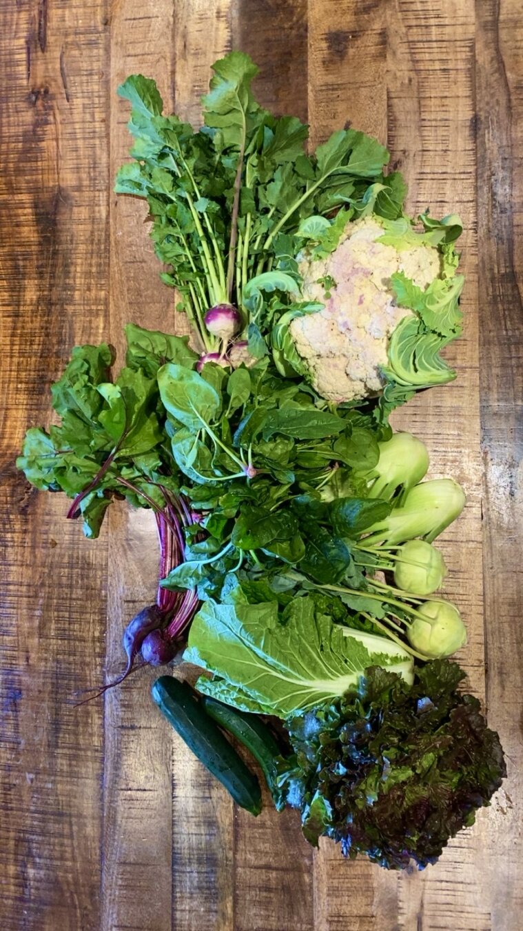 Fresh Bio vegetables