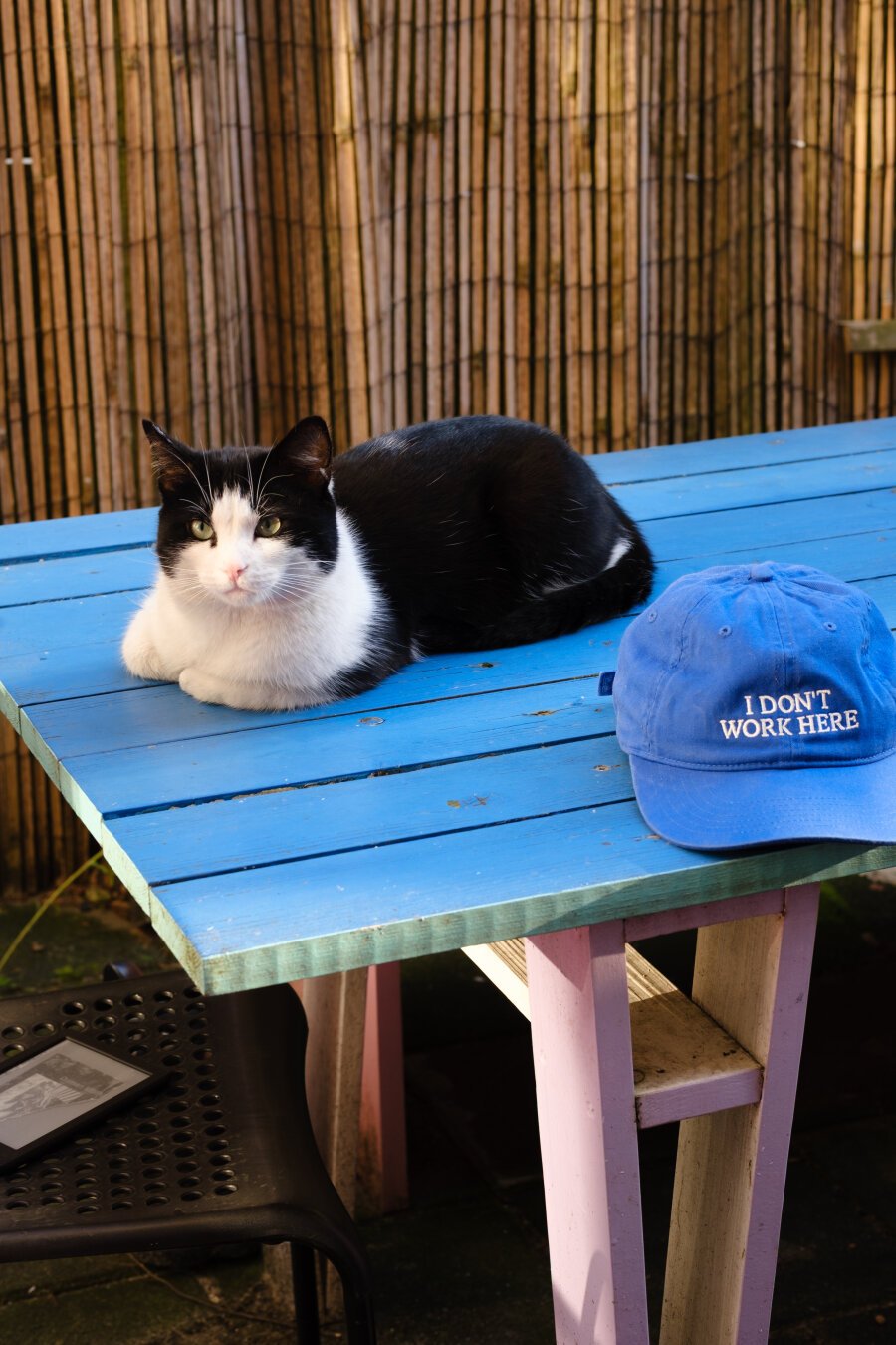 Black and white cat sitting on a colourful wooden table. Next to the cat, there is a blue hat with the slogen "I don't work here"