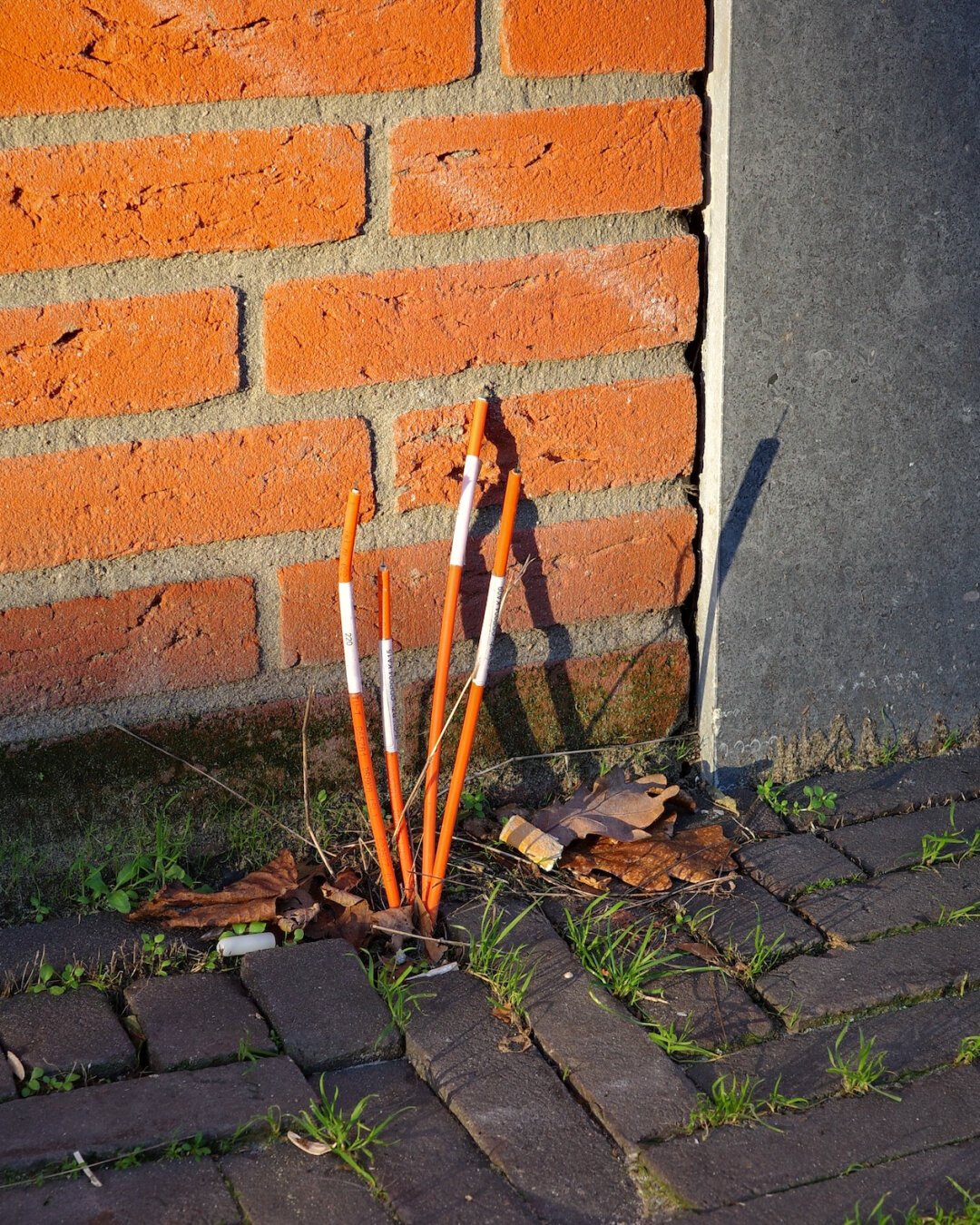 Long cable ends sticking out of the pavement. The cables are illuminated by the winter sun. Their deep orange colour matches the orange of the bricks in the back