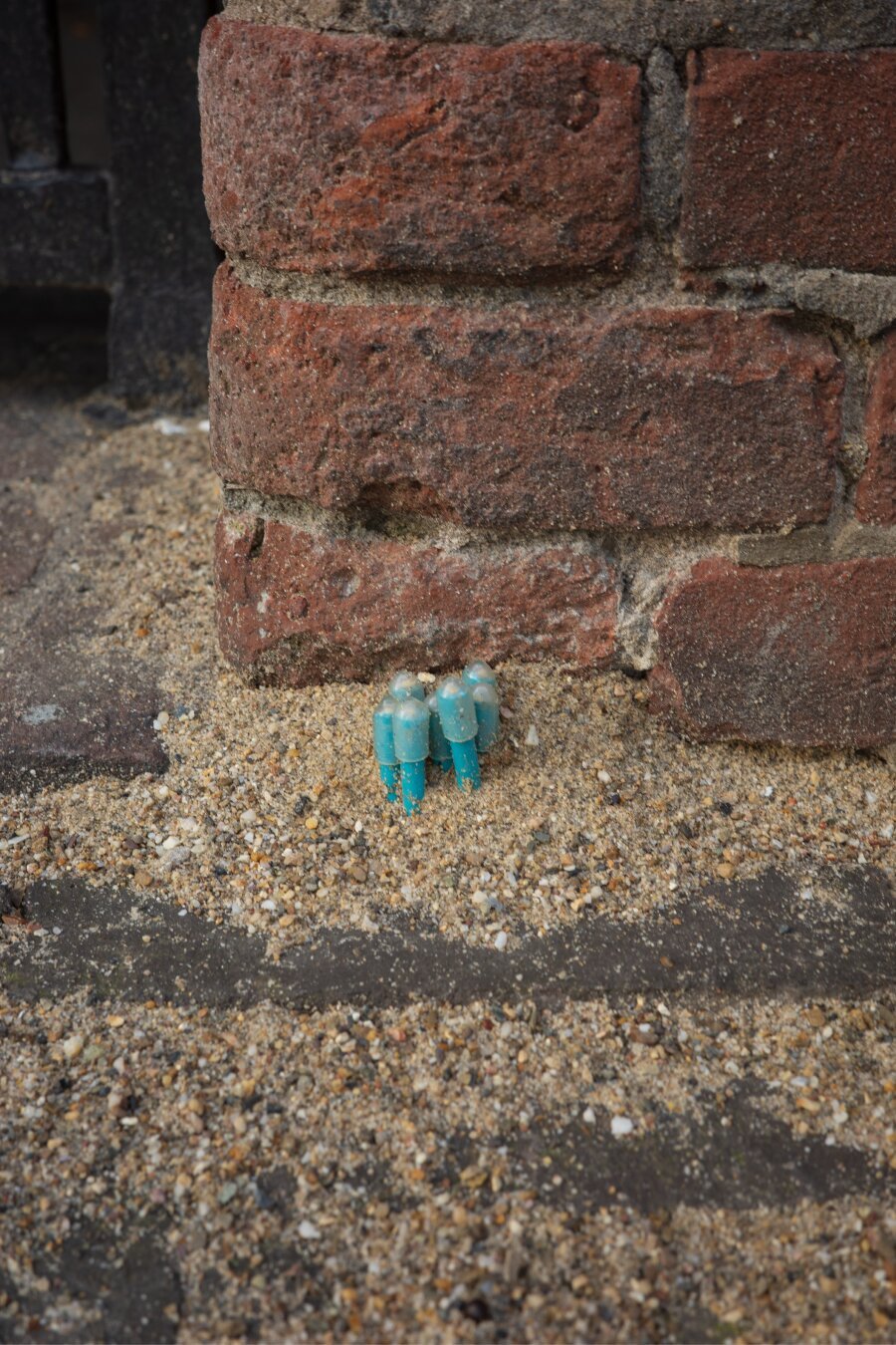 A bunch of newly placed fibreoptic cable tips poking out of the pavement next to a brick wall. The cables are surrounded by sand