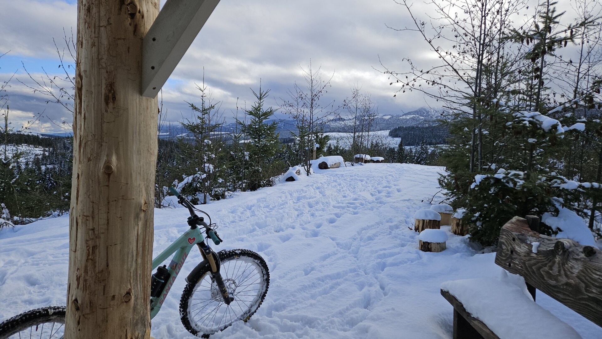 Bike and snowy view