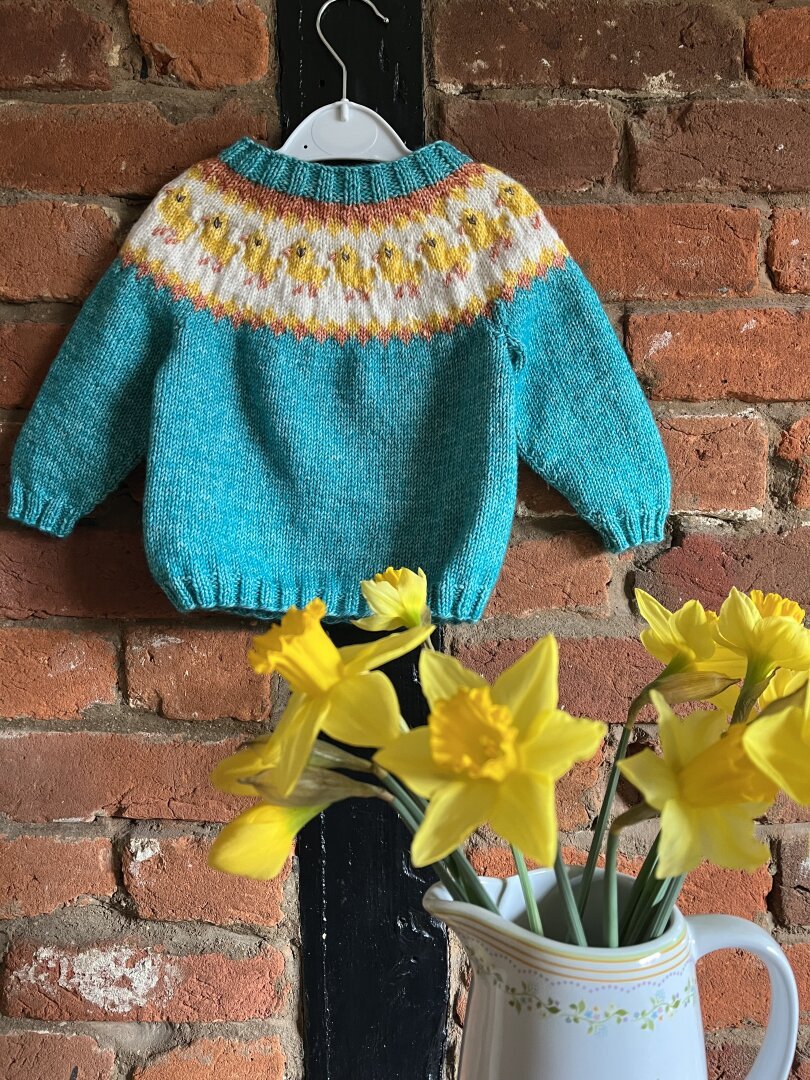 A blue knitted jumper with ducklings on the yoke is hanging from a hanger on the wall. The wall has bricks and woodwork. On the foreground, a jug of blooming daffodils