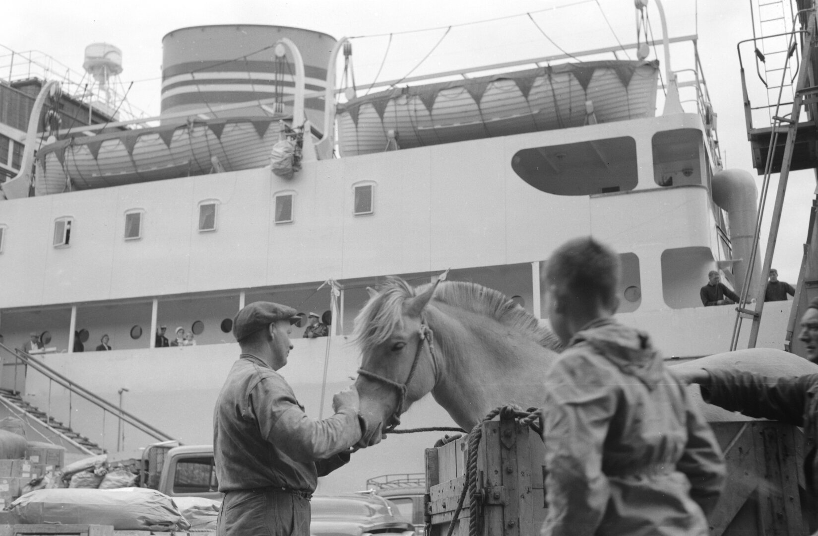 Sorry, no caption provided by author